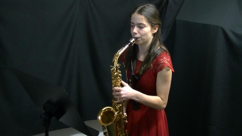 Soutěžní úspěchy ZUŠ Broumov